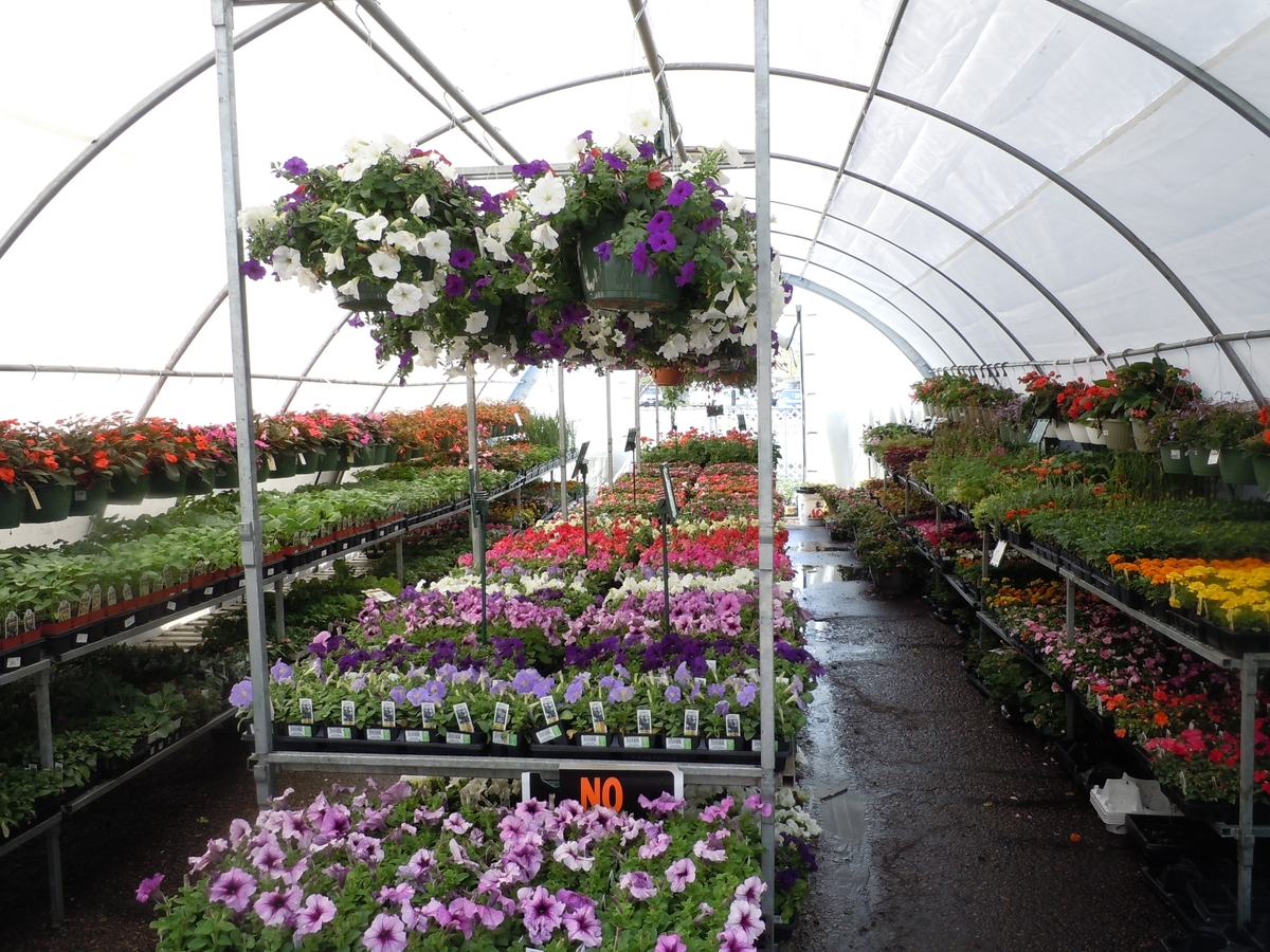 Leading Bay Area Nursery.   M-to-M Lease